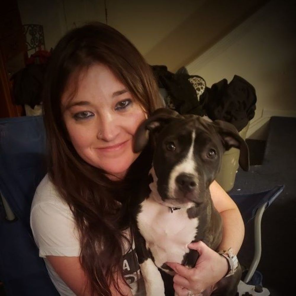 Meet your Posher, Cat